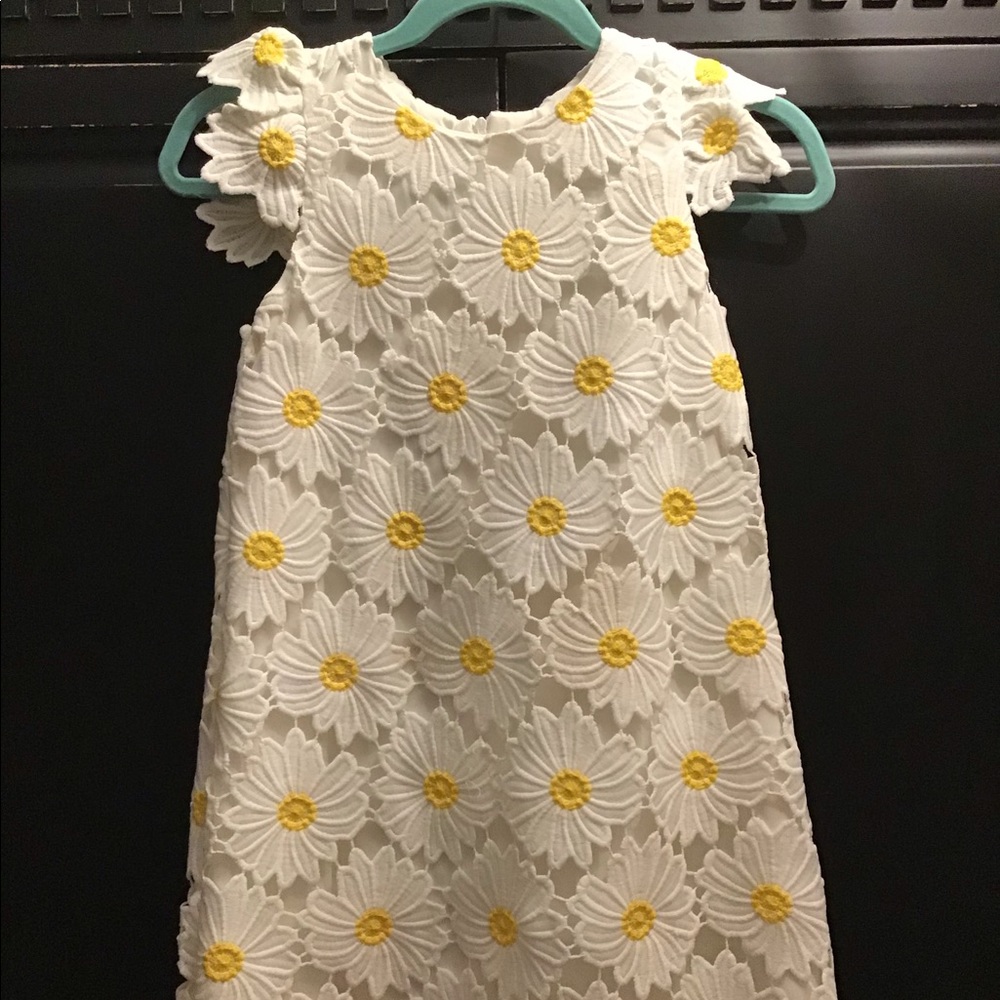 Chasing fireflies daisy dress girls size 12